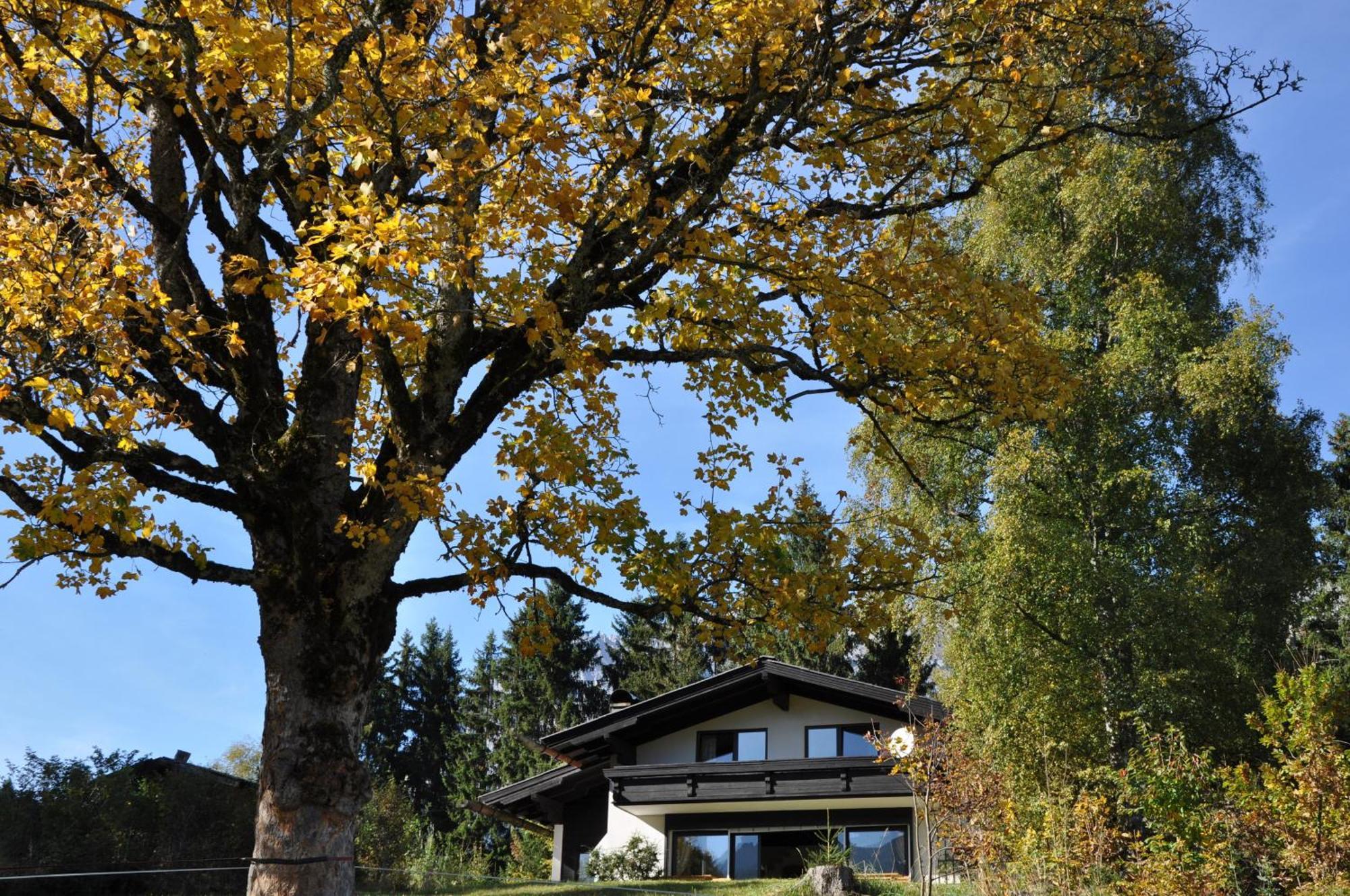 Landhaus Blaubeerhuegel Villa Ramsau am Dachstein Exterior photo